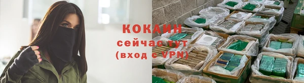 кокс Киреевск