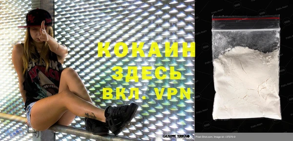 дживик Кинешма