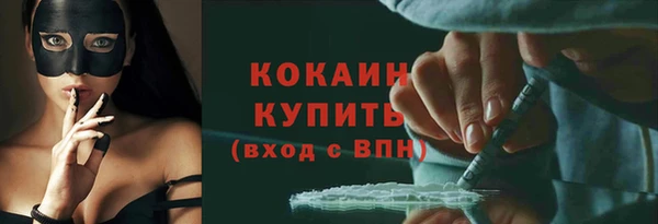 дживик Кинешма
