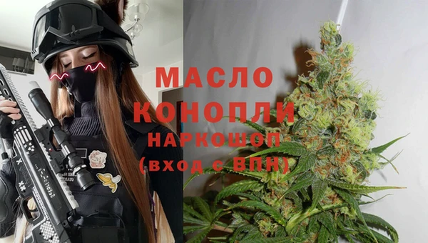 дживик Кинешма