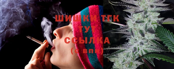 PSILOCYBIN Киренск