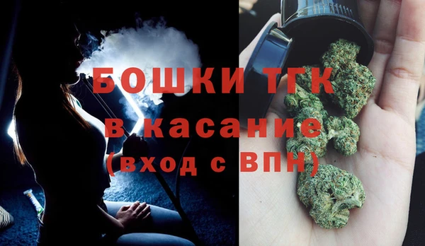 PSILOCYBIN Киренск