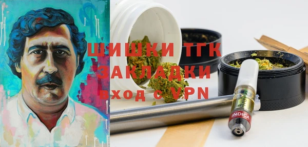 PSILOCYBIN Киренск
