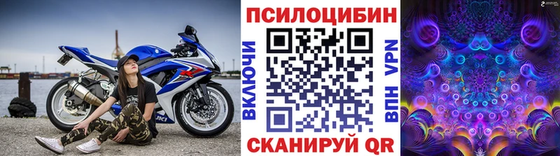 Псилоцибиновые грибы мухоморы ОМГ ОМГ ONION Псков